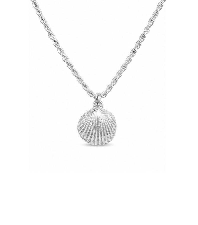 Silverhalsband med snäcka i silver som hänger i en kedja av modell Rope chain - tvinnad kedja.