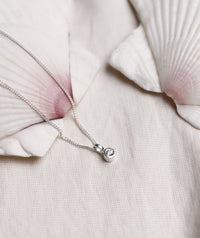 Närbild på halsband med briljantslipad diamant från Mila Silver placerad på en stor snäcka. 