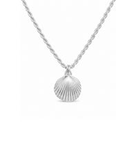 Silverhalsband med snäcka i silver som hänger i en kedja av modell Rope chain - tvinnad kedja. 