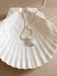 Ett silverhalsband med snäcka i repkedja placerat på en stor vit äkta snäcka. 