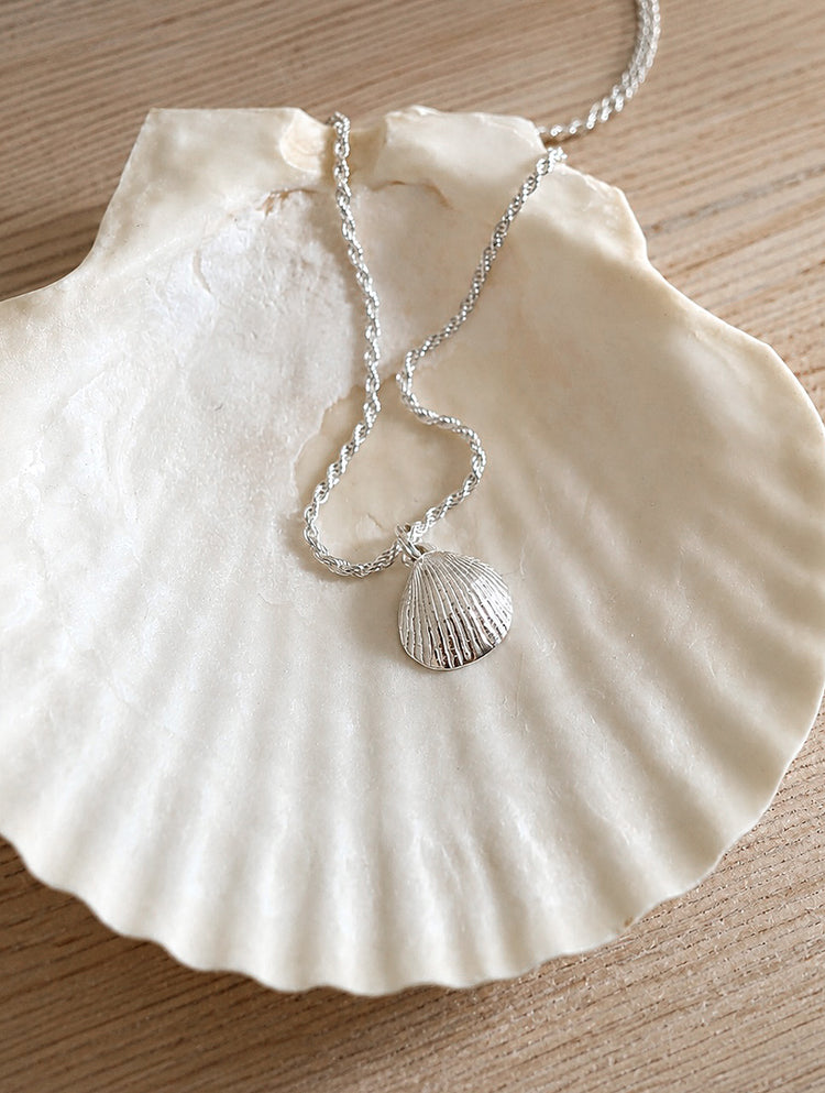 Ett silverhalsband med snäcka i repkedja placerat på en stor vit äkta snäcka. 